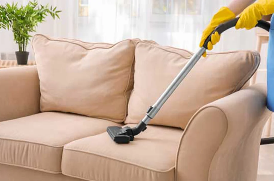 sofa cleaning